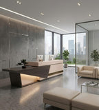 Modern Minimalist Reception Desk