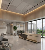 Modern Minimalist Reception Desk