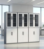現代灰白雙色鋼制帶鎖玻璃掩門文件櫃 Modern Steel Glass File Cabinet