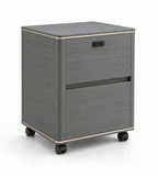 Modern Grey Wood Grain Mobile Cabinet with Password Lock, Two Drawers, and Wheels