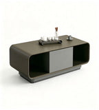 Modern Minimalist Grey Solid Wood Storage Coffee Table