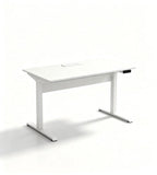 Modern Minimalist Smart Standing Desk