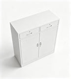 Minimalist Executive Steel Cabinet