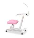 Ergonomic Maple Tilting All-in-One Kids Study Desk