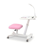 人體工學一體式升降學習枱 Ergonomic Maple Tilting All-in-One Kids Study Desk