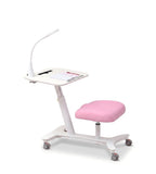 Ergonomic Maple Tilting All-in-One Kids Study Desk