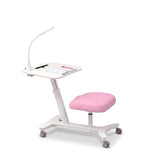人體工學一體式升降學習枱 Ergonomic Maple Tilting All-in-One Kids Study Desk