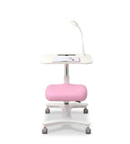 人體工學一體式升降學習枱 Ergonomic Maple Tilting All-in-One Kids Study Desk