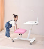 Ergonomic Maple Tilting All-in-One Kids Study Desk