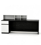 Luxury minimalist black and white front desk