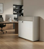 商務灰白拼色掩門帶鎖矮身辦公室文件櫃 Grey White Locked Low Office File Cabinet