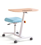 Ergonomic Multi-Color Wood Grain All-in-One Height Adjustable Study Desk