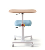 Ergonomic Multi-Color Wood Grain All-in-One Height Adjustable Study Desk