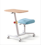 Ergonomic Multi-Color Wood Grain All-in-One Height Adjustable Study Desk