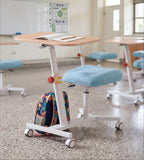 Ergonomic Multi-Color Wood Grain All-in-One Height Adjustable Study Desk