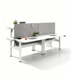 Modern Minimalist Dual Standing Desk