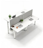 Modern Minimalist Dual Standing Desk