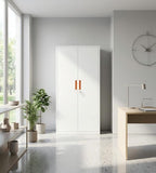 全高對開門鋼製文件櫃 Full-Height Steel Swing-Door Filing Cabinet